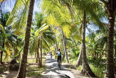 Biking tour