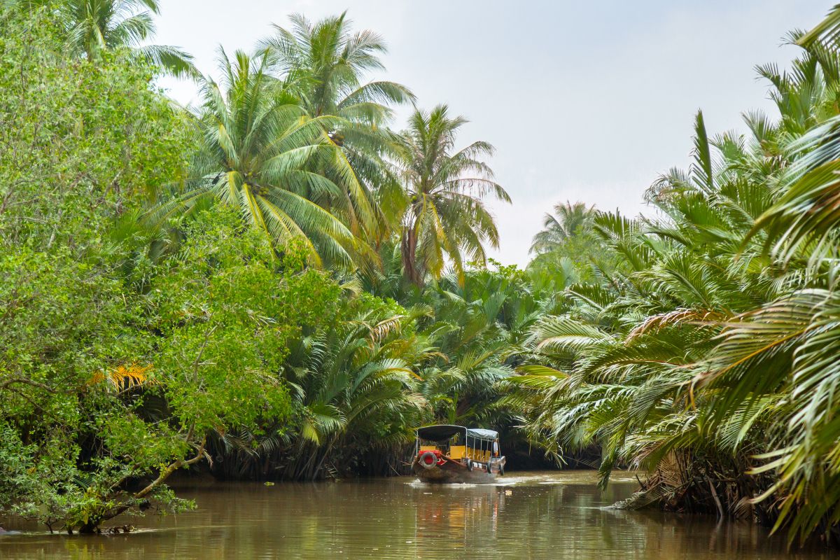 Explore Mekong Delta’s Culture in Walking Tour