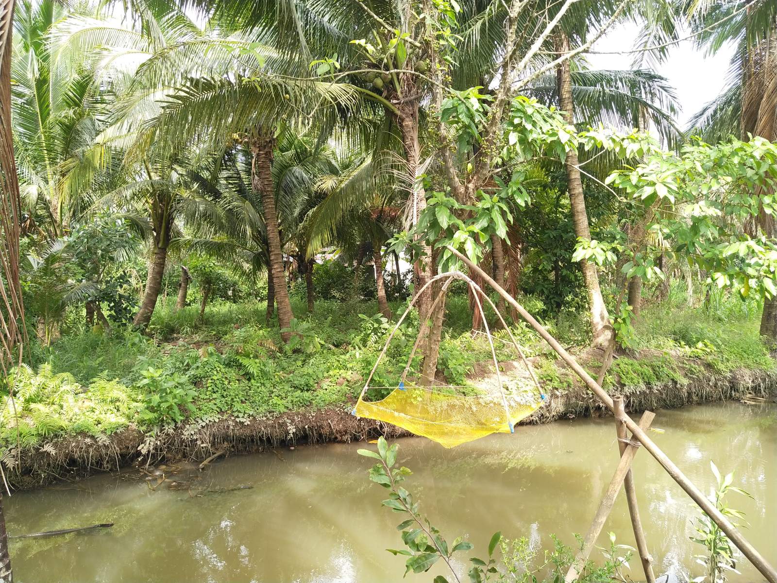 Explore Mekong Delta’s Culture in Walking Tour