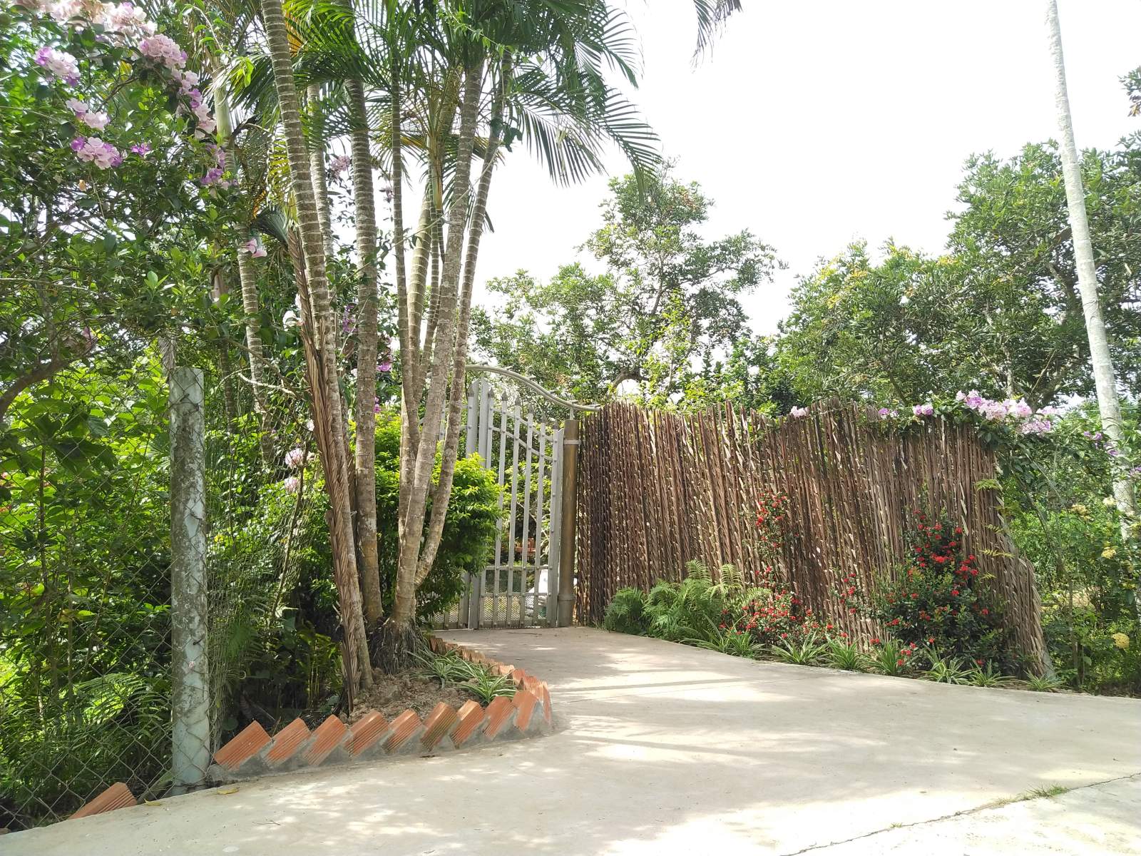 Wellness & Healing Tour Awaits!