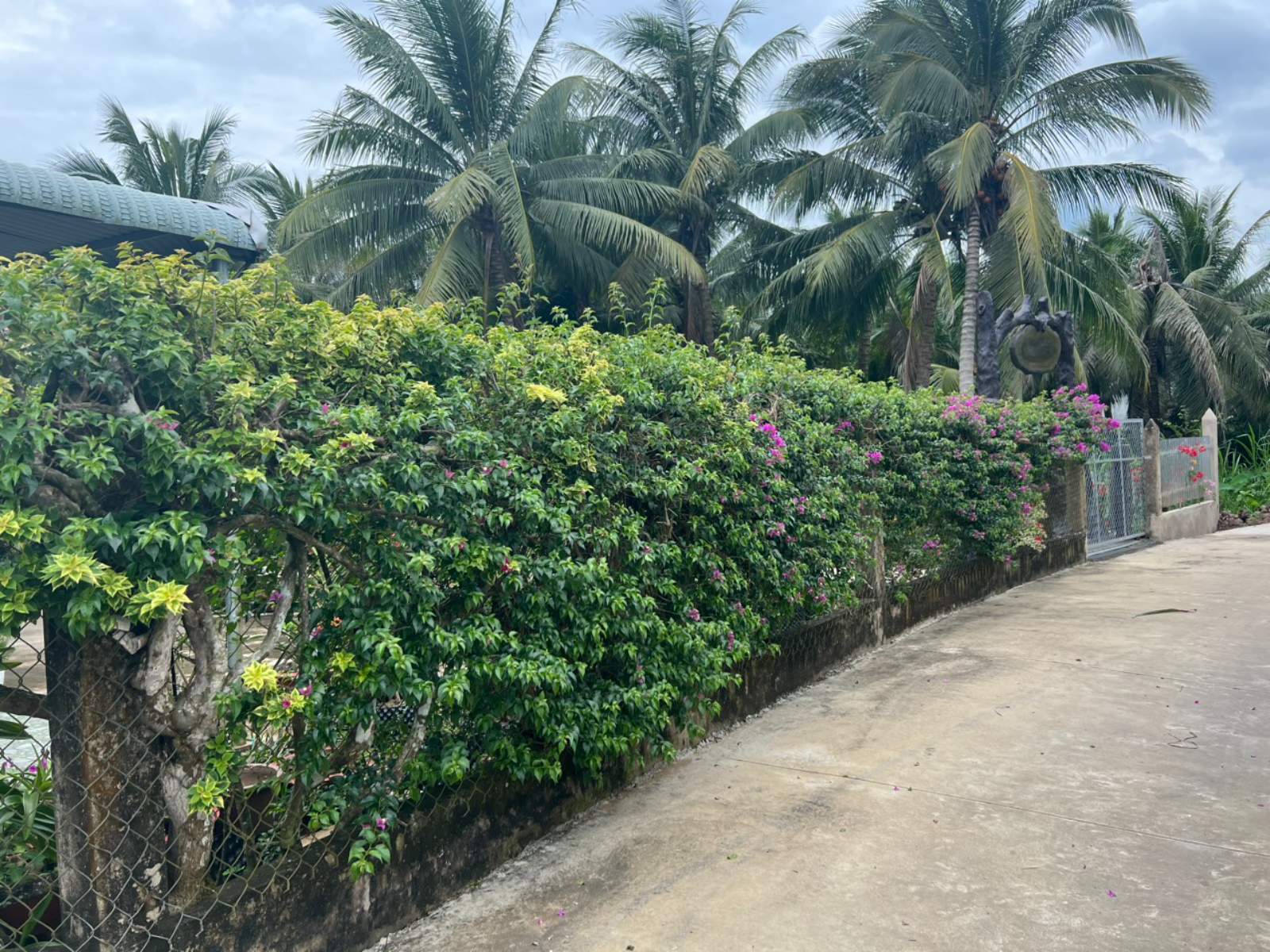 Wellness & Healing Tour Awaits!