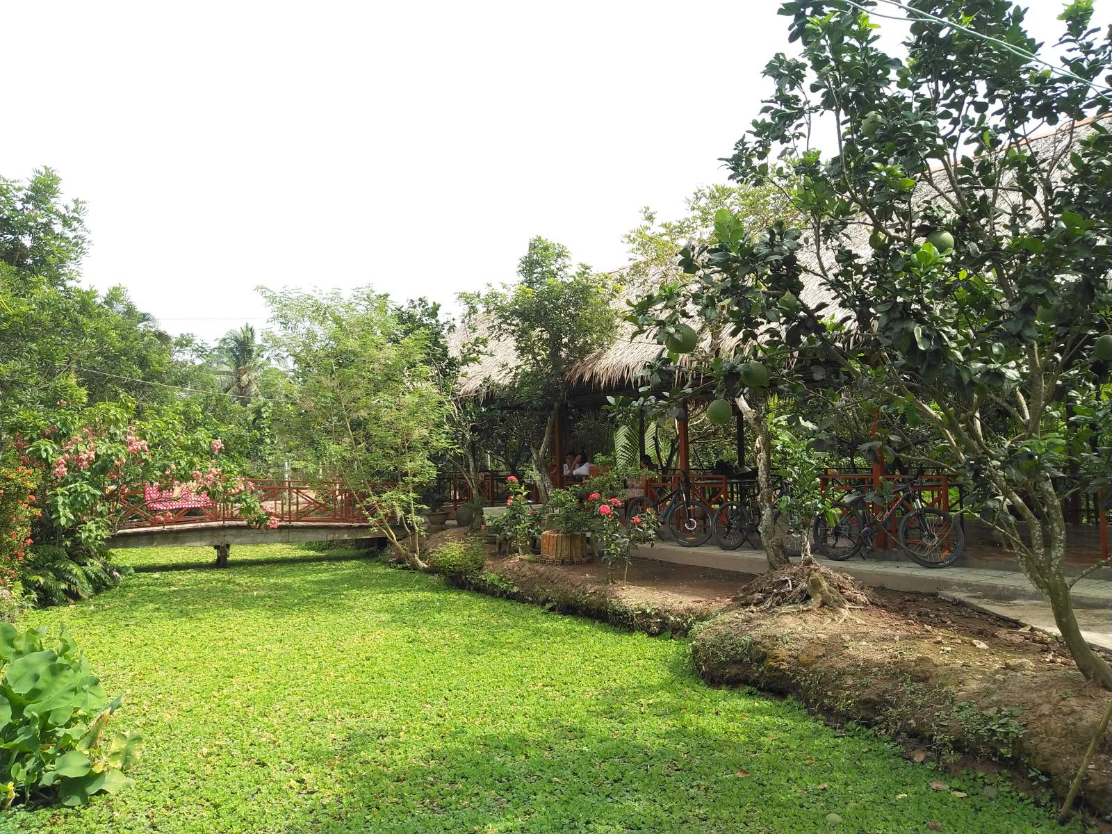 Wellness & Healing Tour Awaits!