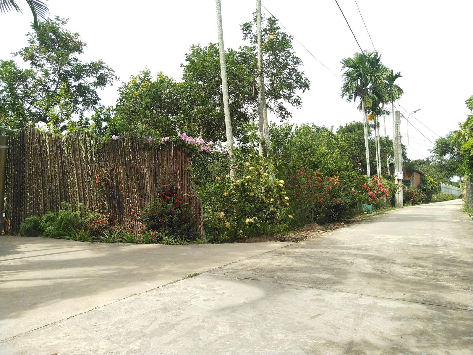 Wellness & Healing Tour Awaits!