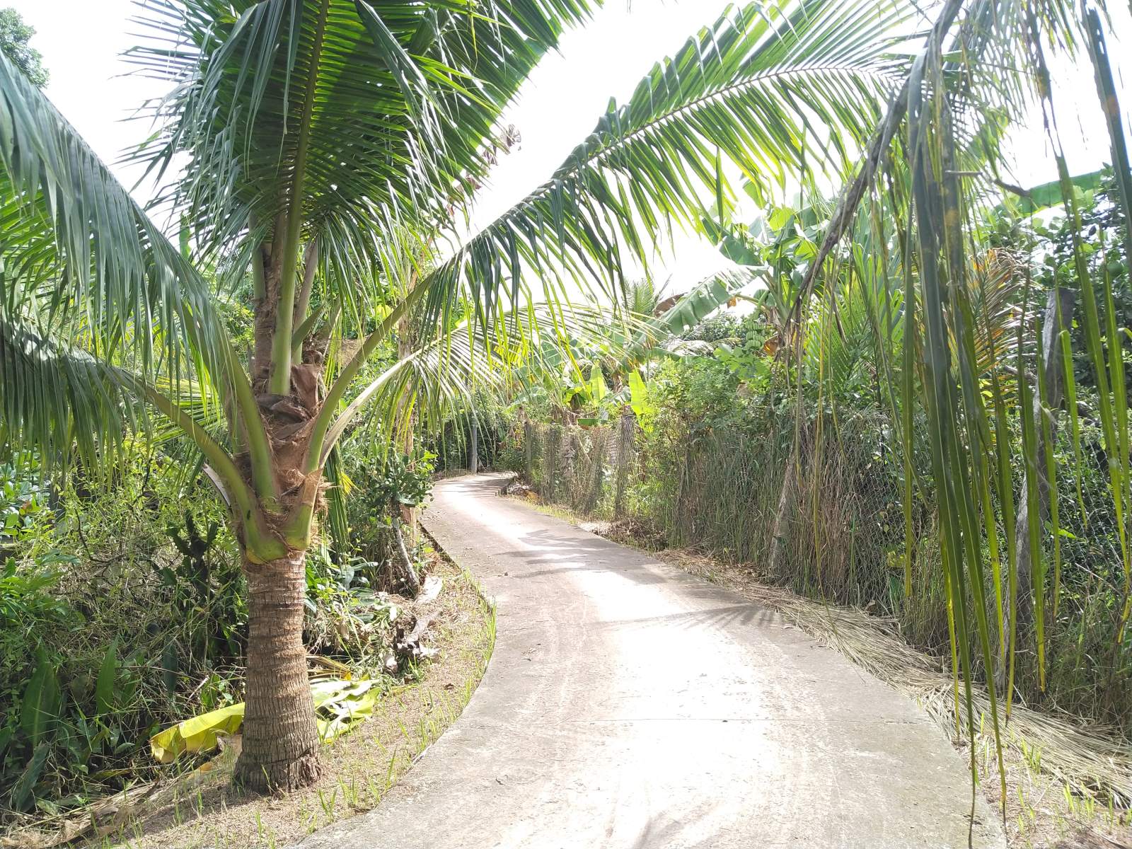 Wellness & Healing Tour Awaits!