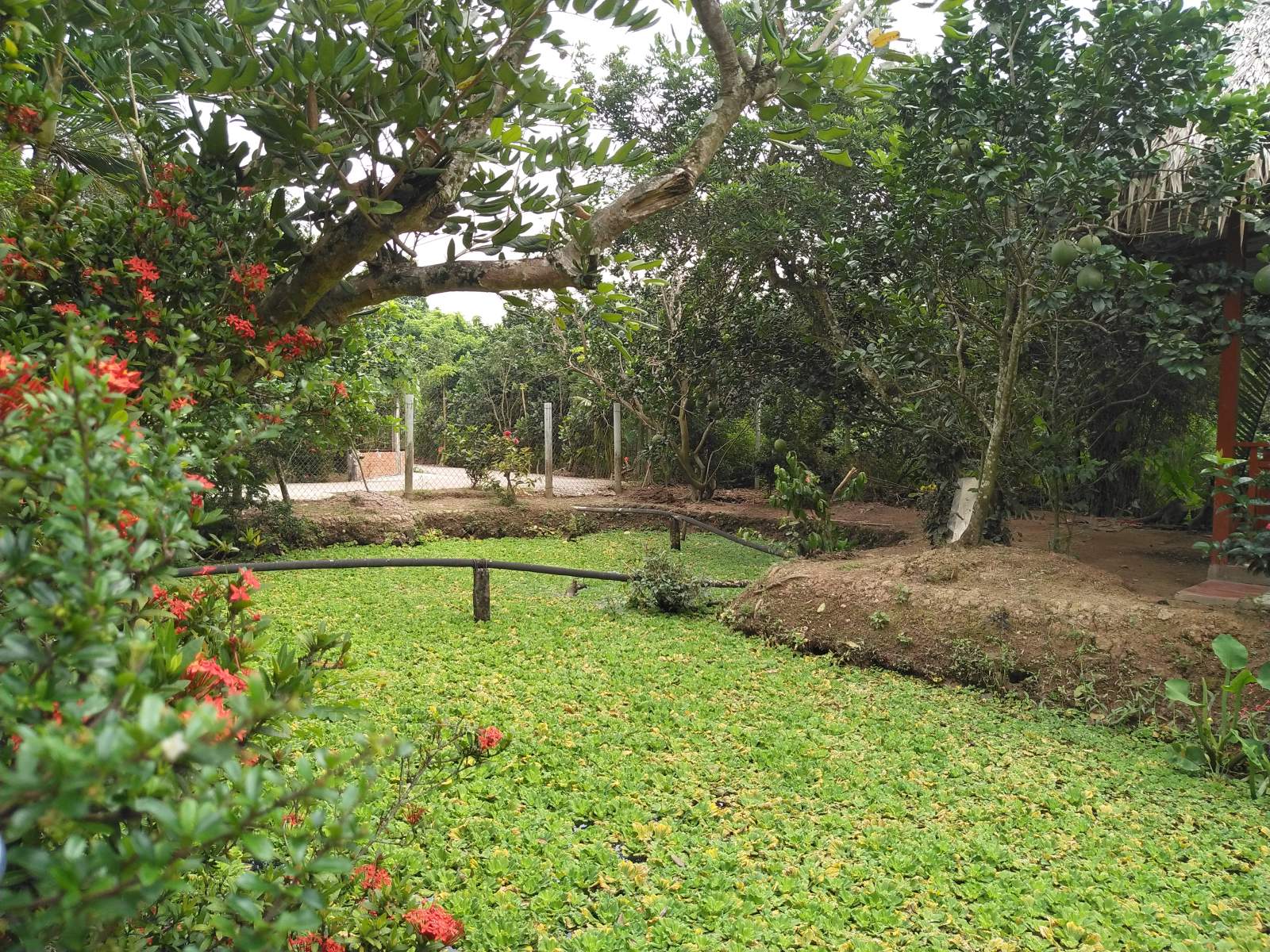 Delightful Culinary Tour in Mekong Delta