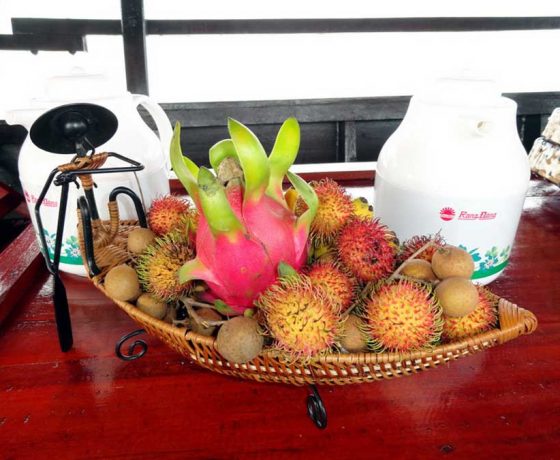 Mekong At Ease