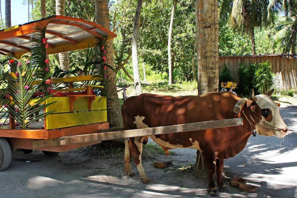 Biking the Cao Lanh loop